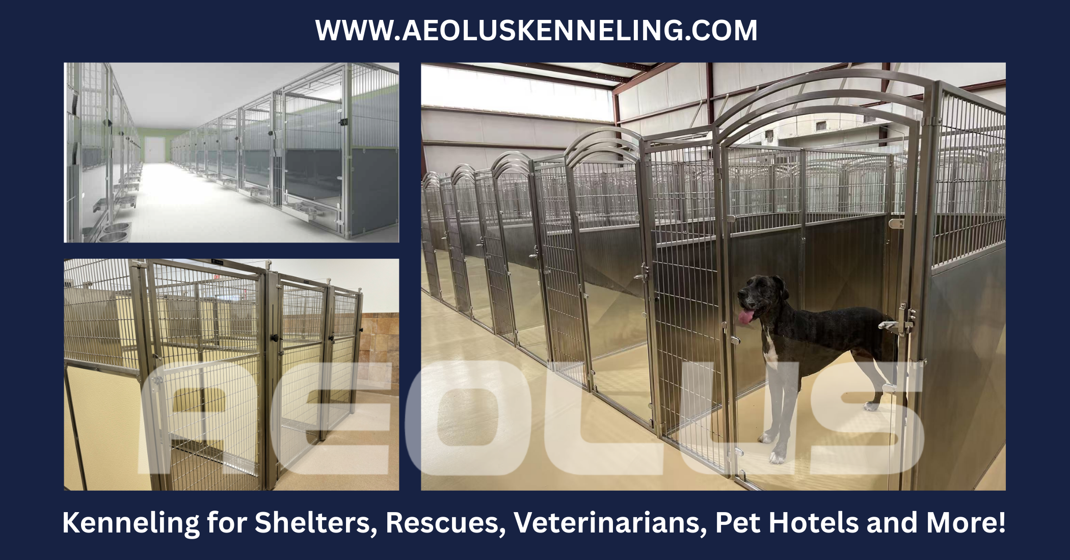 Animal Shelter Kennel Systems | Stainless Steel And Glass Shelter ...